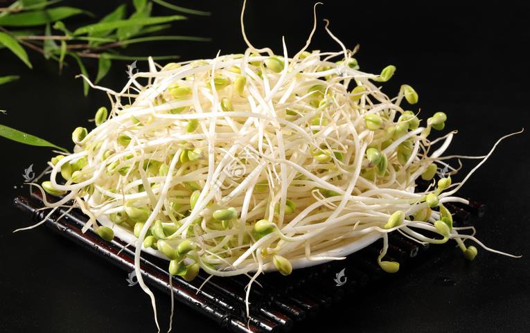 無公害綠色豆芽，怎么生產出來的？全套生產過程如此方便智能
